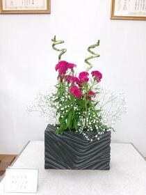 生け花2025年8月の写真