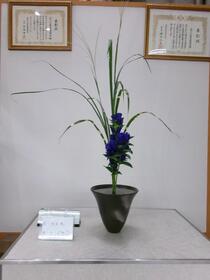 生け花2025年10月の写真