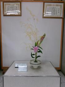 生け花2025年12月の写真