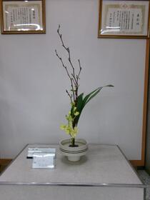 生け花2026年3月の写真