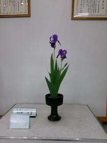 生け花2026年4月の写真