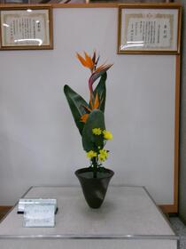 生け花2026年5月の写真