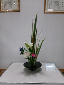 生け花2026年8月,9月の写真