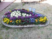 Photo of flower bed