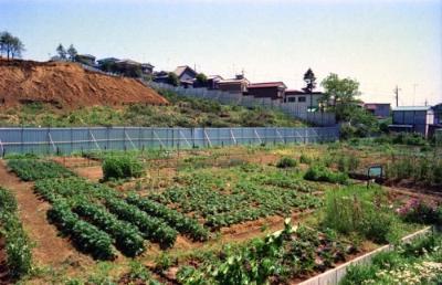 手前に家庭菜園がある。左上には造成地がある。造成地は旭北中学校建設予定地である。