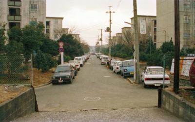 真ん中に手前から奥に伸びる道路。道路両脇に路上駐車の列。左は市営ひかりが丘団地6街区、右は8街区。