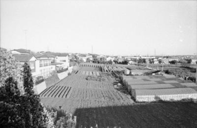 白根小学校プレハブ校舎側から見た正円寺裏手の畑である。温室と畑がある。