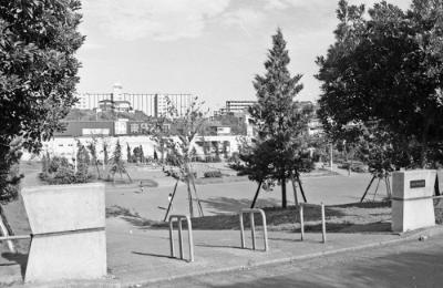 公園の向こう側に東急ストア白根店の看板がある。東急ストアの奥には日産自動車西谷家族アパートがある。