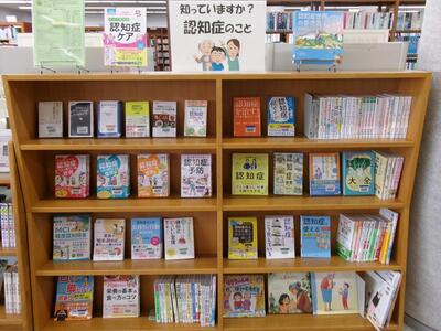 一般展示書架