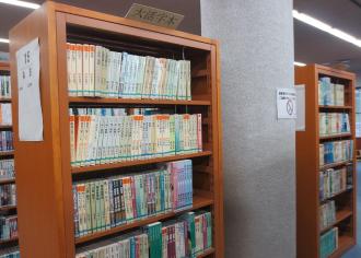 Photographs of large print book corner