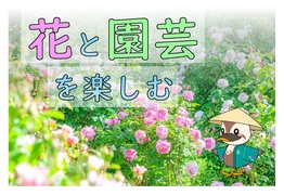 令和8年5月のテーマ展示の写真　1枚目