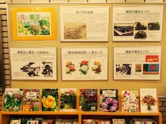 令和8年5月のテーマ展示の写真　2枚目