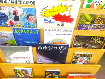 令和8年9月のテーマ展示（子ども向け）の写真　2枚目