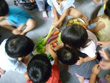 『ああいいきもち』に登場した野菜に触れる子どもたち