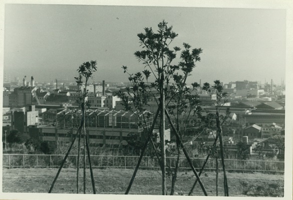 国道一号線より京浜工業地帯をのぞむ2の画像