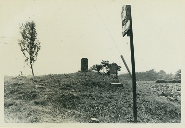 史蹟「硯松」近く　大日如来のある丘の画像