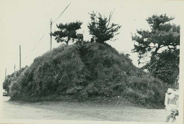 羽沢町の富士塚の画像