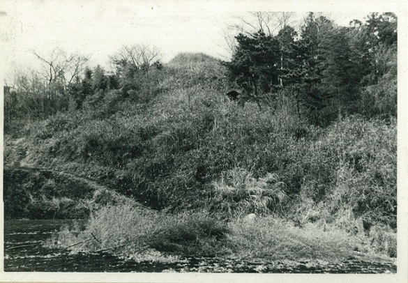 最勝寺の富士塚１の画像