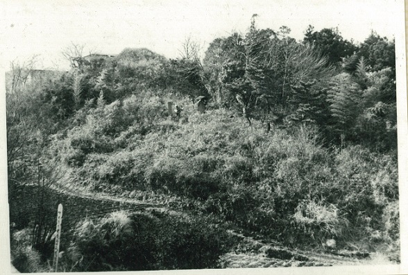 最勝寺の富士塚２の画像