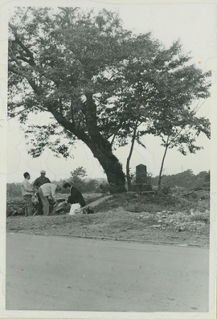古跡"硯台松樹"隔壁的堅牢的地神塔的圖片