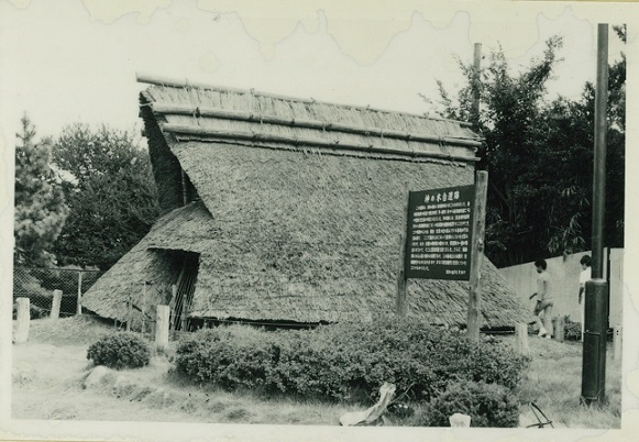 神奈川県県民部青少年課　神之木台分館の丘