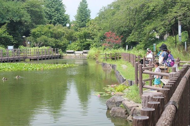 2017년 촬영 시로하타 연못 2