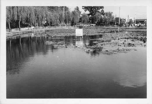 시로하타 연못 4의 이미지