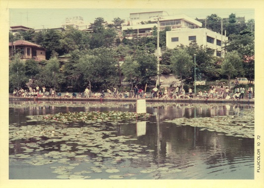 白幡池５の画像