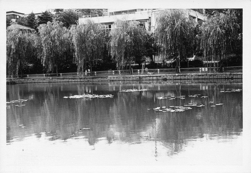 시로하타 연못 6의 이미지