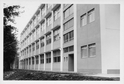 白幡小学校１の画像