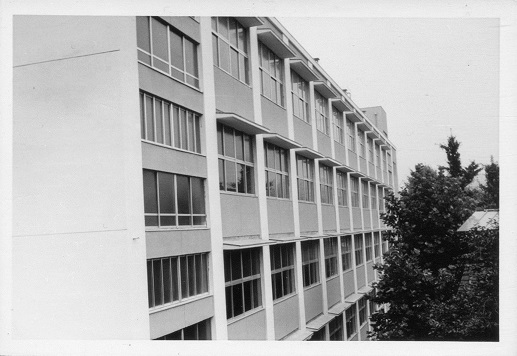 白幡小学校２の画像