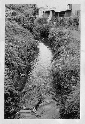 滝の川 神大寺付近の画像