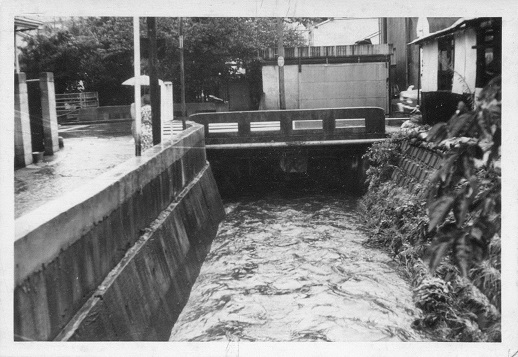 滝の川　六角橋付近１の画像