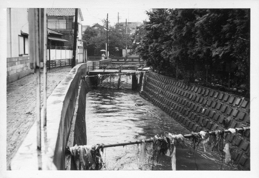 滝の川　六角橋付近２の画像