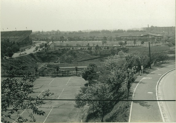 三ツ沢第一歩道橋から見た三ツ沢公園