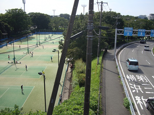 2017年撮影　三ツ沢第一歩道橋から見た三ツ沢公園