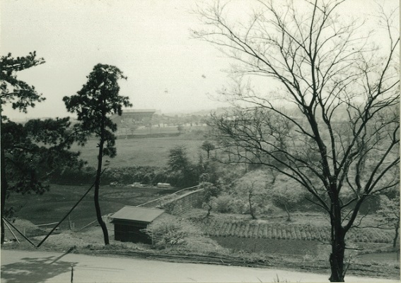 馬場側から見た三ツ沢公園の画像