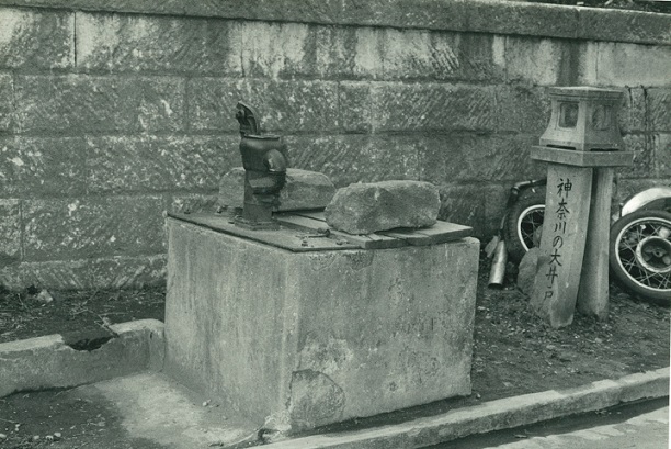 神奈川の大井戸１の画像