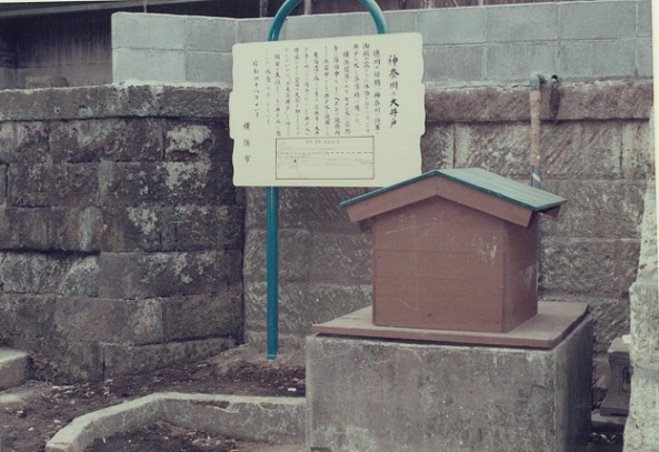 神奈川の大井戸２の画像