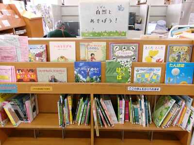 一般書展示の様子です。表紙が見えるように本を並べています。