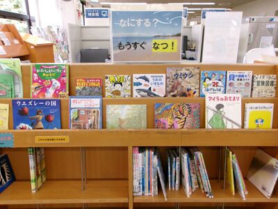 展示の様子です。表紙が見えるように本を並べています。
