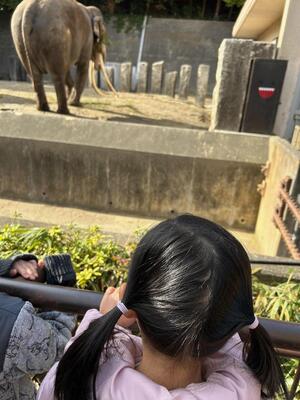 令和5年度絵本の動物に会いに行こうゾウ観察会写真