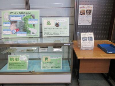 令和5年度インドゾウのいろいろ展示写真1