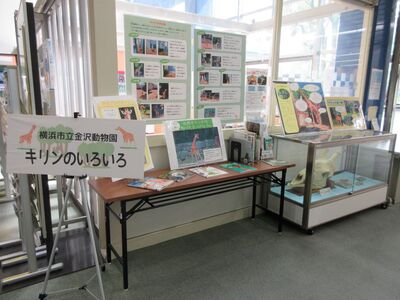 令和6年度キリンのいろいろ展示写真