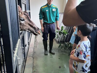 令和6年度絵本の動物に会いに行こうキリン観察会写真