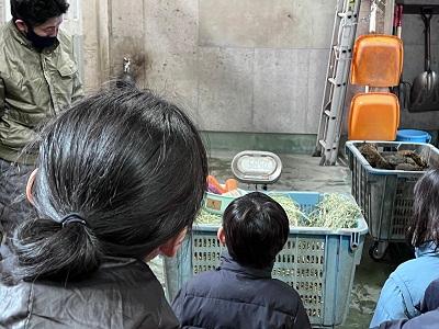 令和6年度絵本の動物に会いに行こうゾウかんさつ会写真1