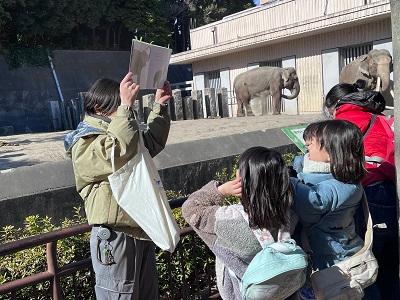 令和6年度絵本の動物に会いに行こうゾウかんさつ会写真3