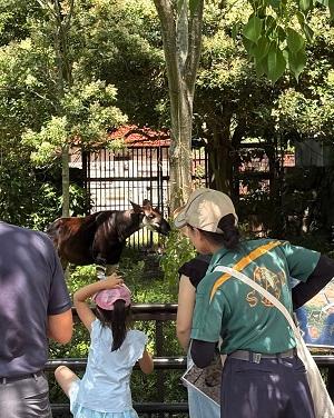 絵本の動物に会いに行こうオカピかんさつ会屋外の様子