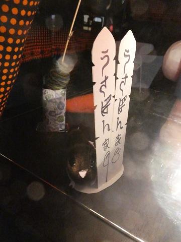 暗闇のもぐらのもぐたん