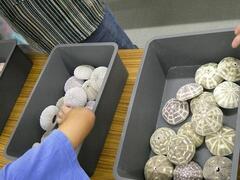 ウニを選ぶ様子